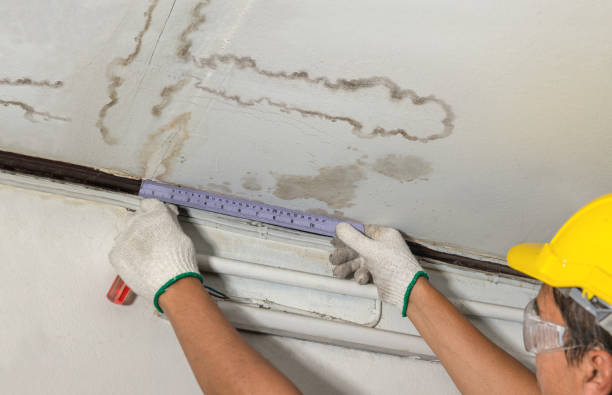 Reliable Water Damage contractor in Wellsville, UT by Water Damage Irwin